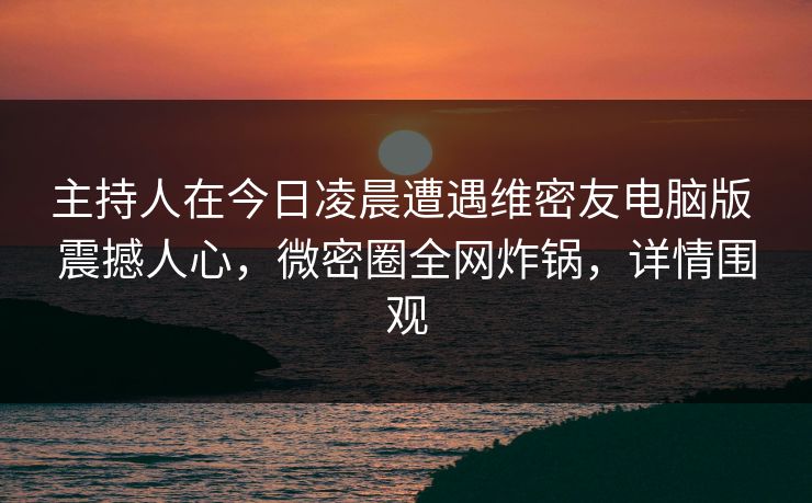 主持人在今日凌晨遭遇维密友电脑版 震撼人心，微密圈全网炸锅，详情围观