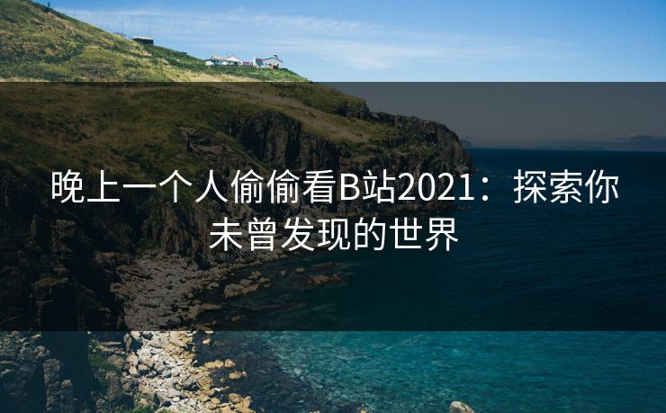 晚上一个人偷偷看B站2021：探索你未曾发现的世界