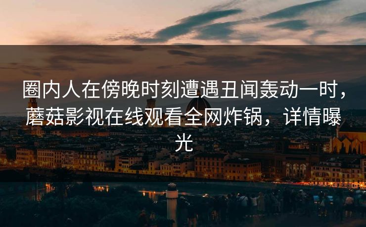 圈内人在傍晚时刻遭遇丑闻轰动一时，蘑菇影视在线观看全网炸锅，详情曝光